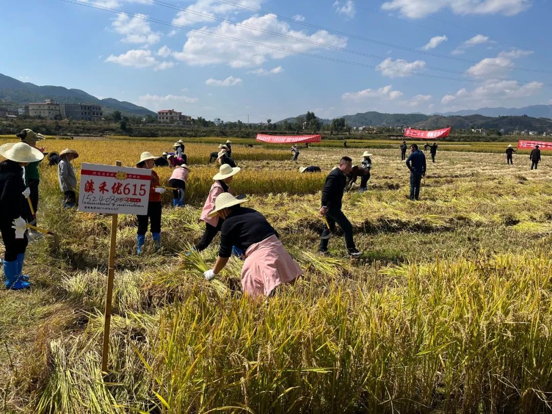 迈步新征程　奋斗正当时——昭通市政协学习贯彻党的二十大精神综述