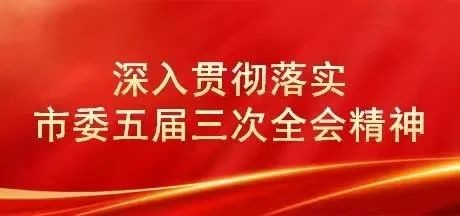 全市各级各部门掀起贯彻市委五届三次全会精神热潮