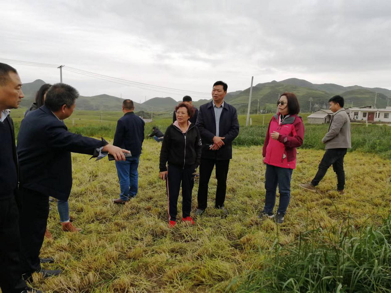 省市政协委员联动献策昭通南方草地恢复技术与优质牧草群落构建