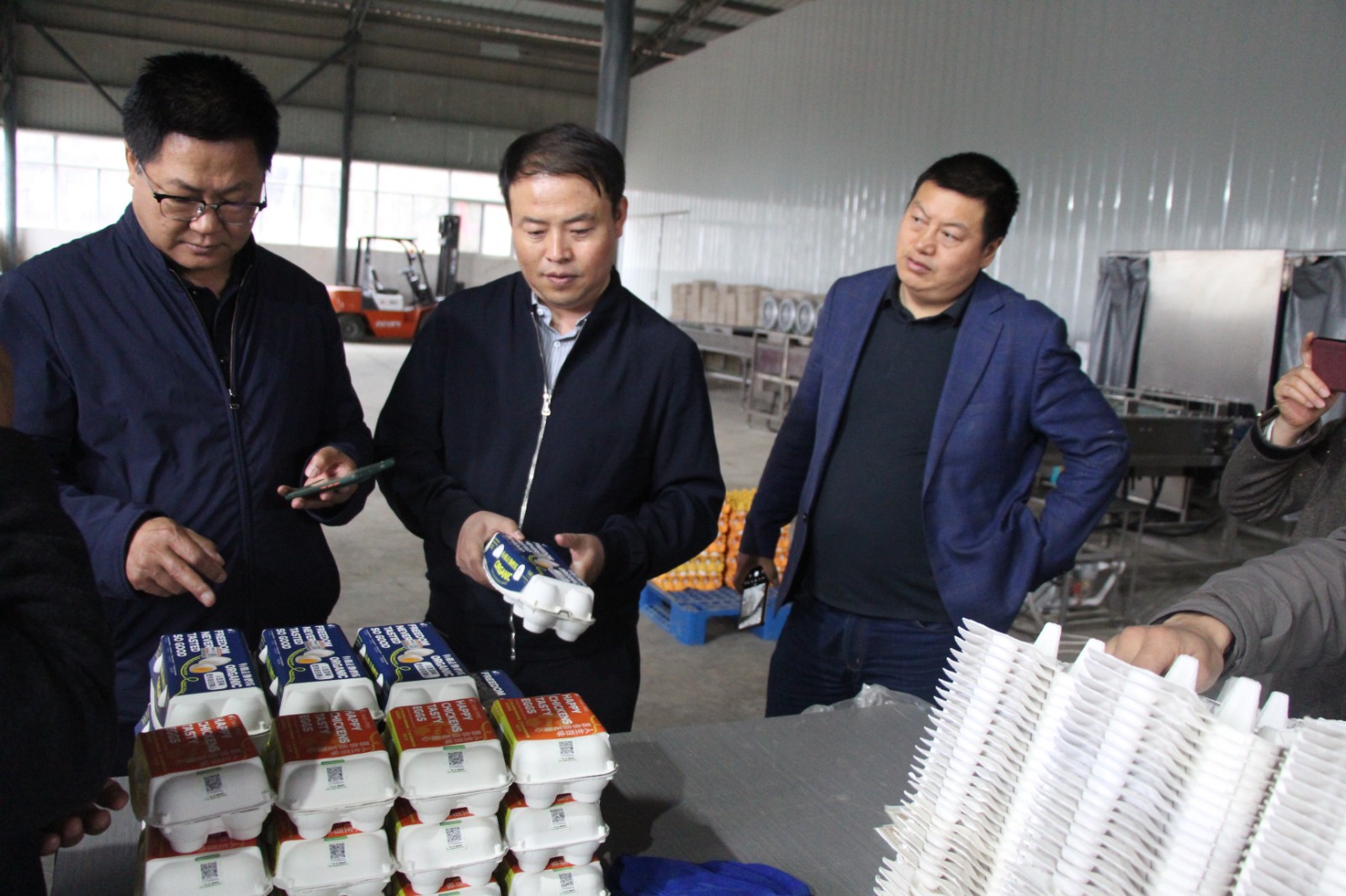 昭阳区政协委员走基层调研蛋鸡产业发展