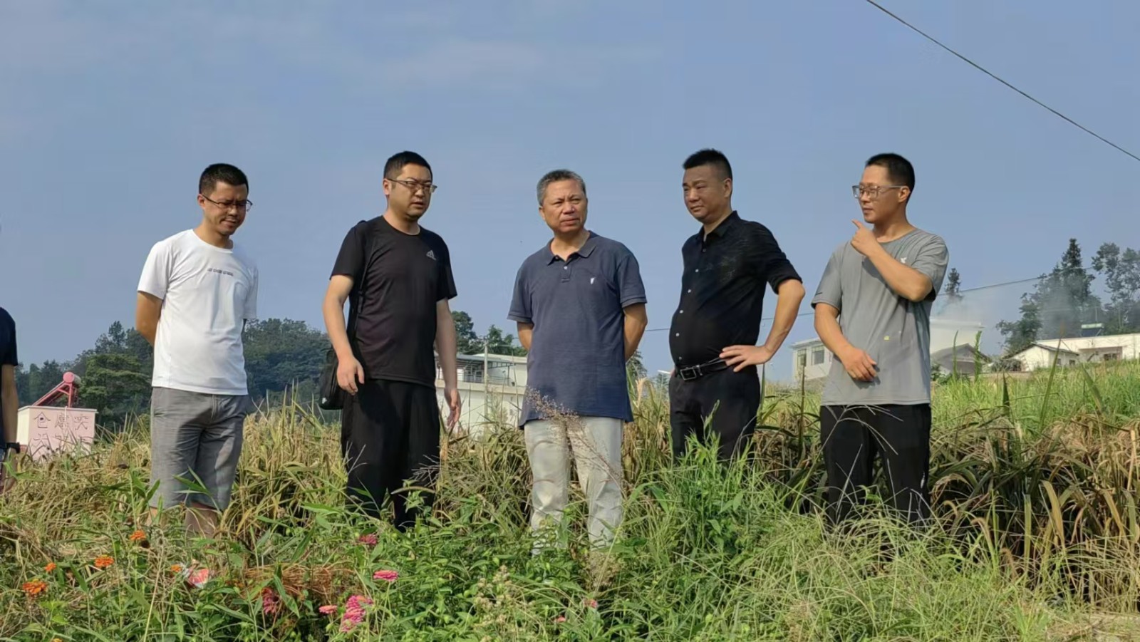 监督推动耕地保护  守住粮食安全饭碗 ——水富市政协开展耕地保护流出整改民主监督