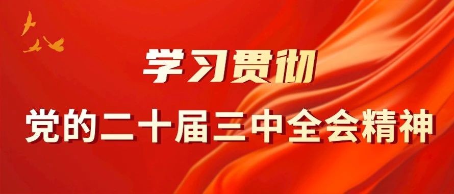中国社会科学院学部委员李林：毫不动摇坚持全面依法治国重大原则