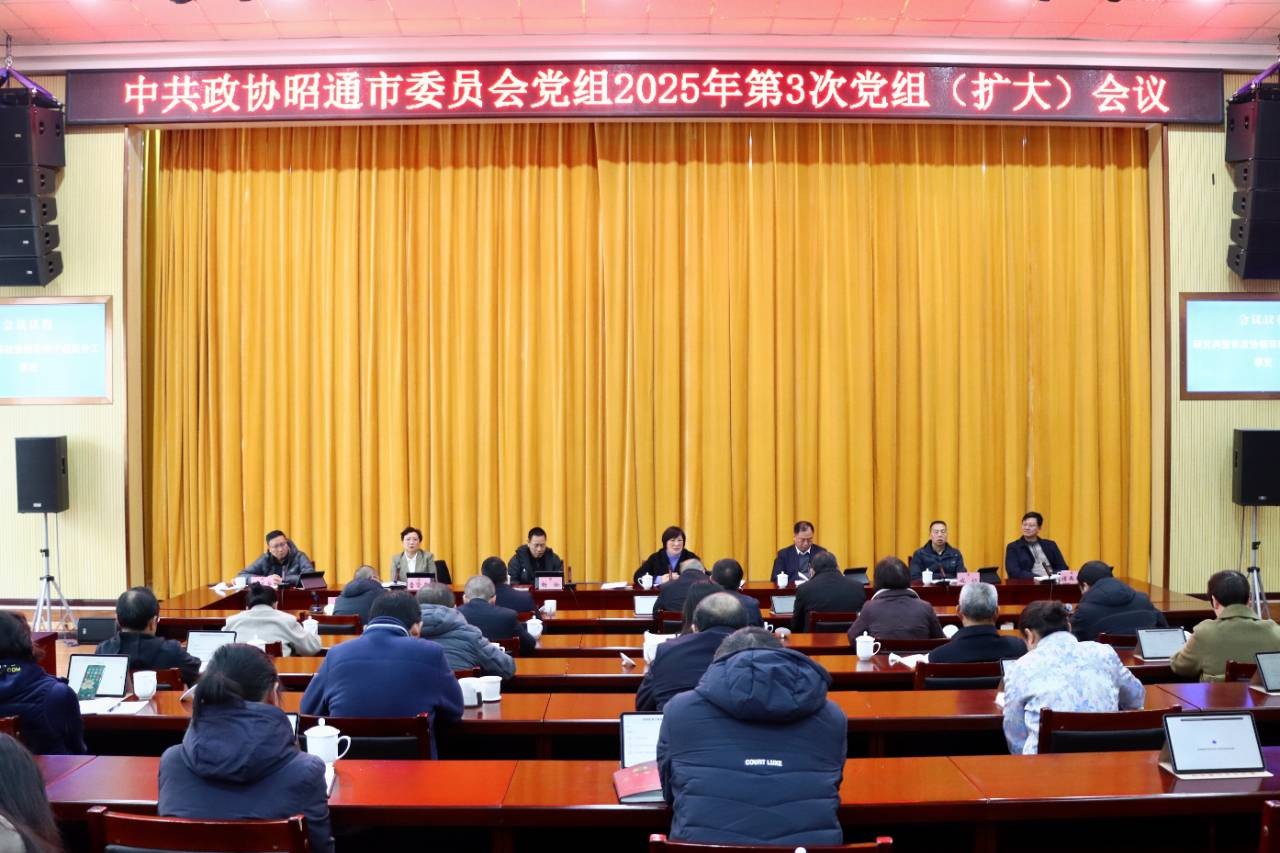 市政协召开2025年第3次党组（扩大）会议