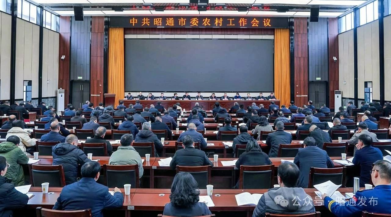 市委农村工作会议召开