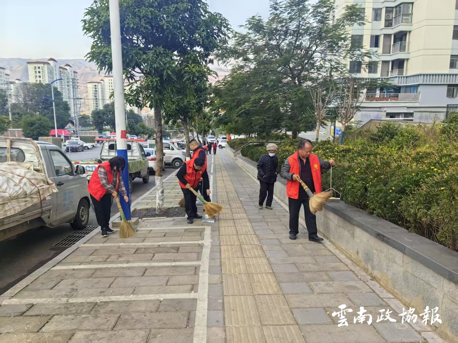 巧家｜县政协机关党支部开展“爱护环境 共享和谐”主题党日活动