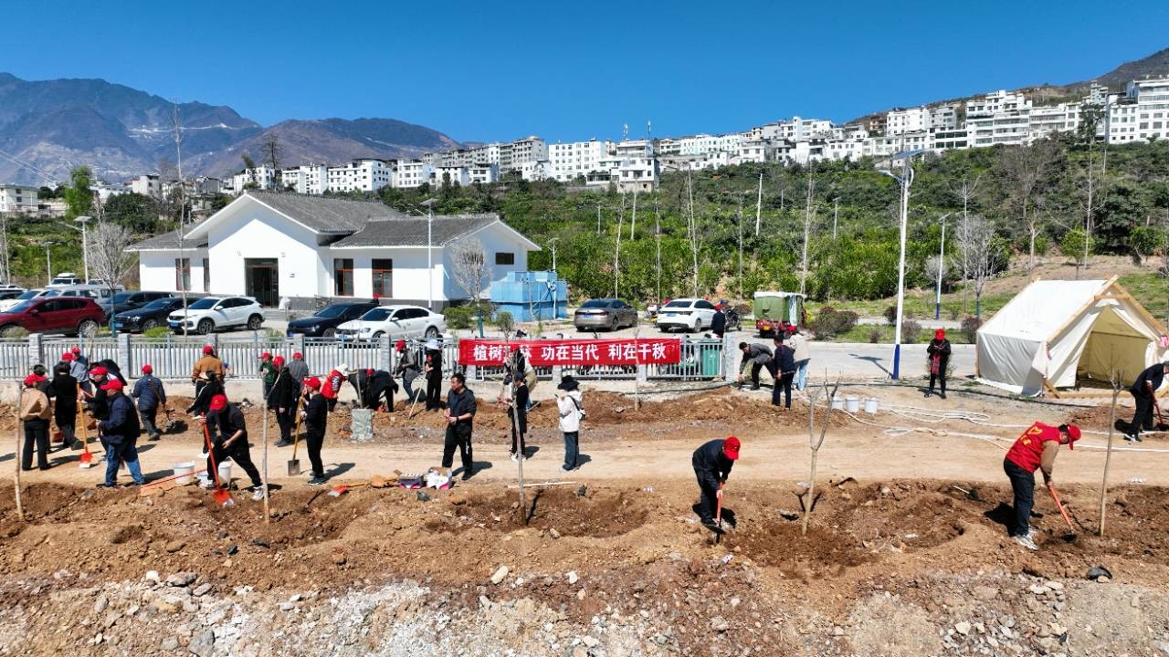 市政协开展2025年“绿美金沙江·政协在行动”植树活动