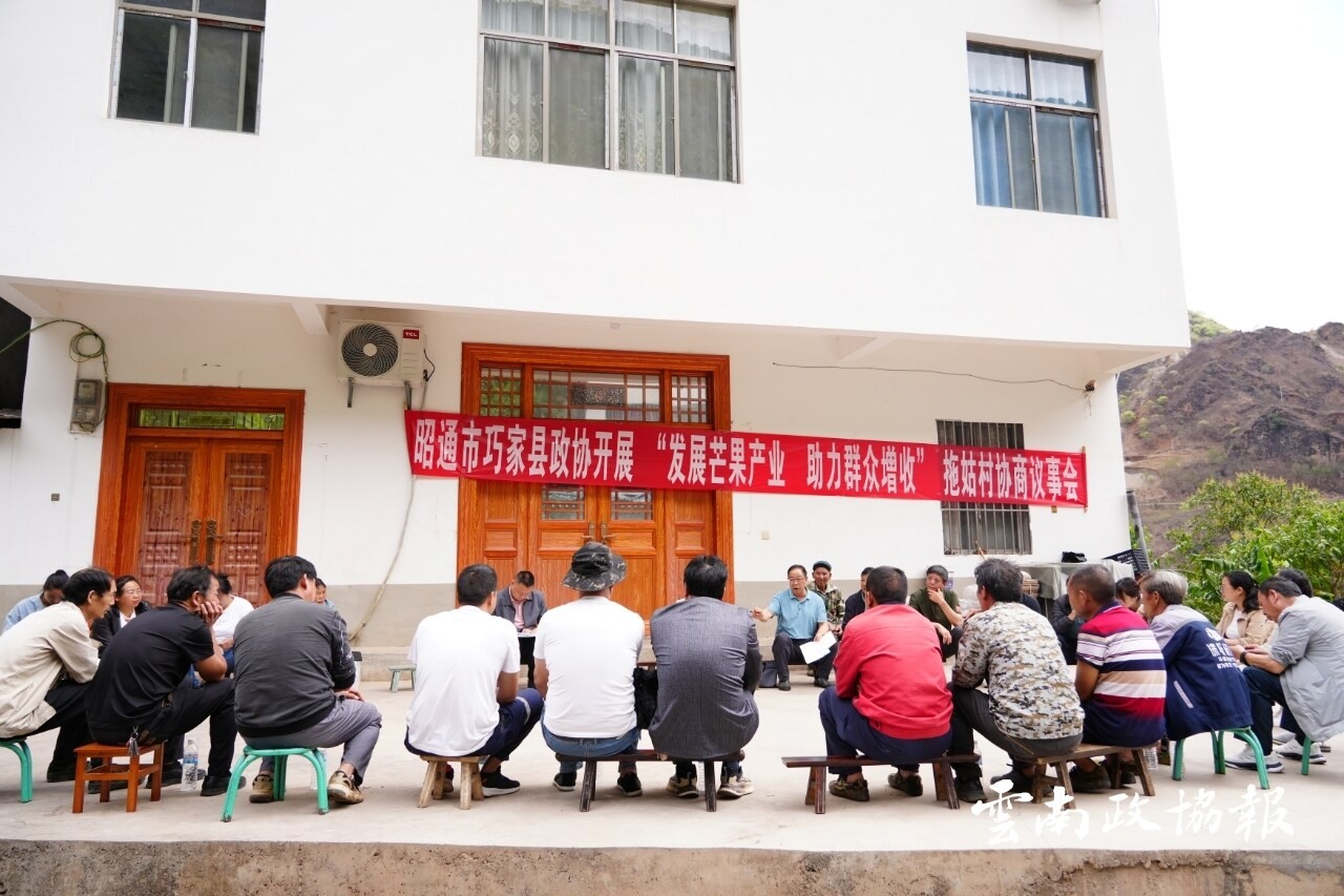 巧家｜县政协通过院坝协商助力芒果产业发展