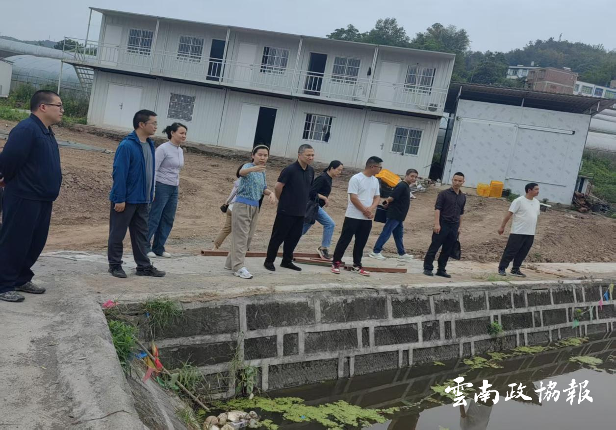 水富｜市政协通过院坝协商助力农文旅融合发展