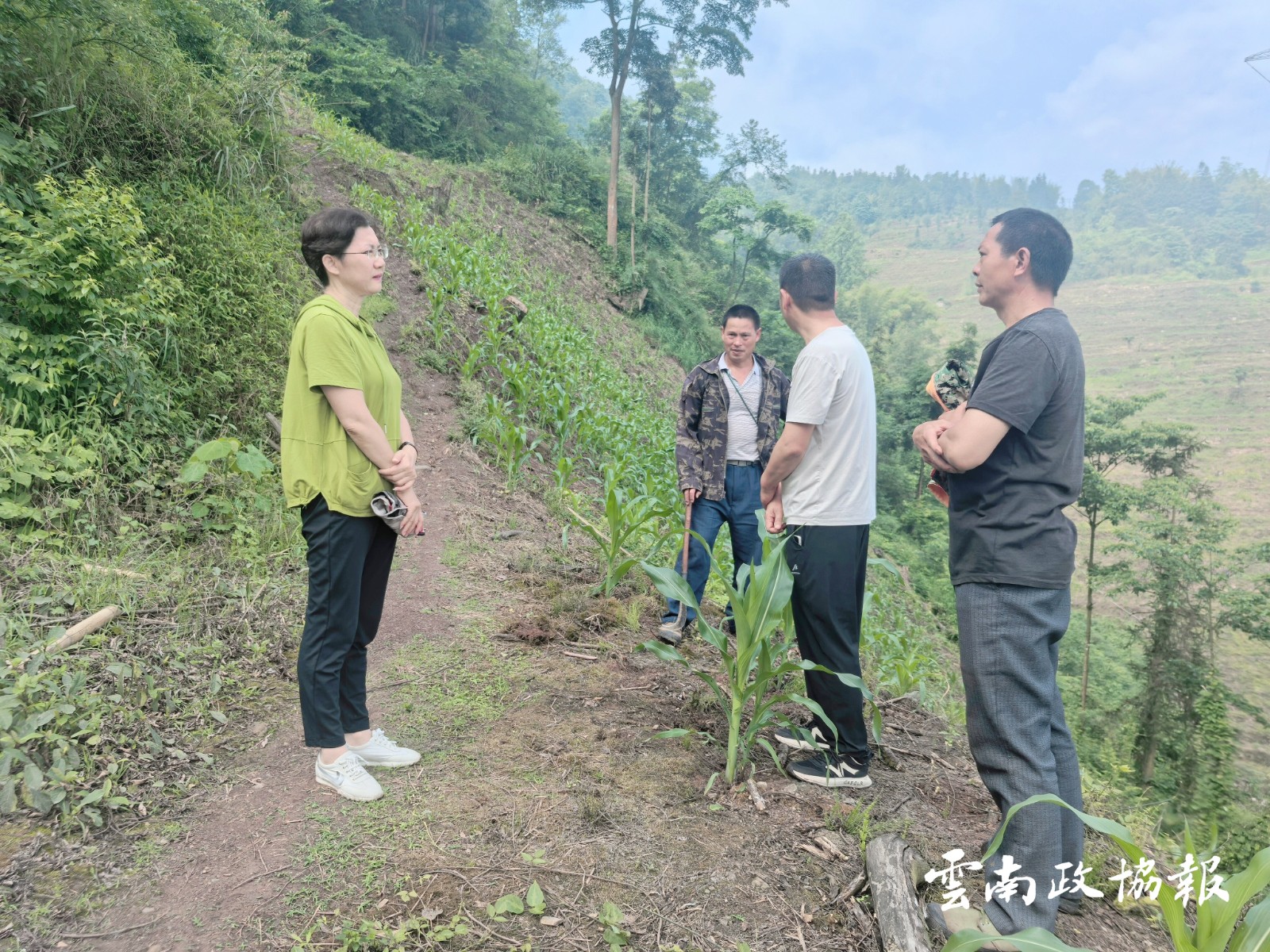 绥江｜县政协领导深入挂钩村开展走访调研