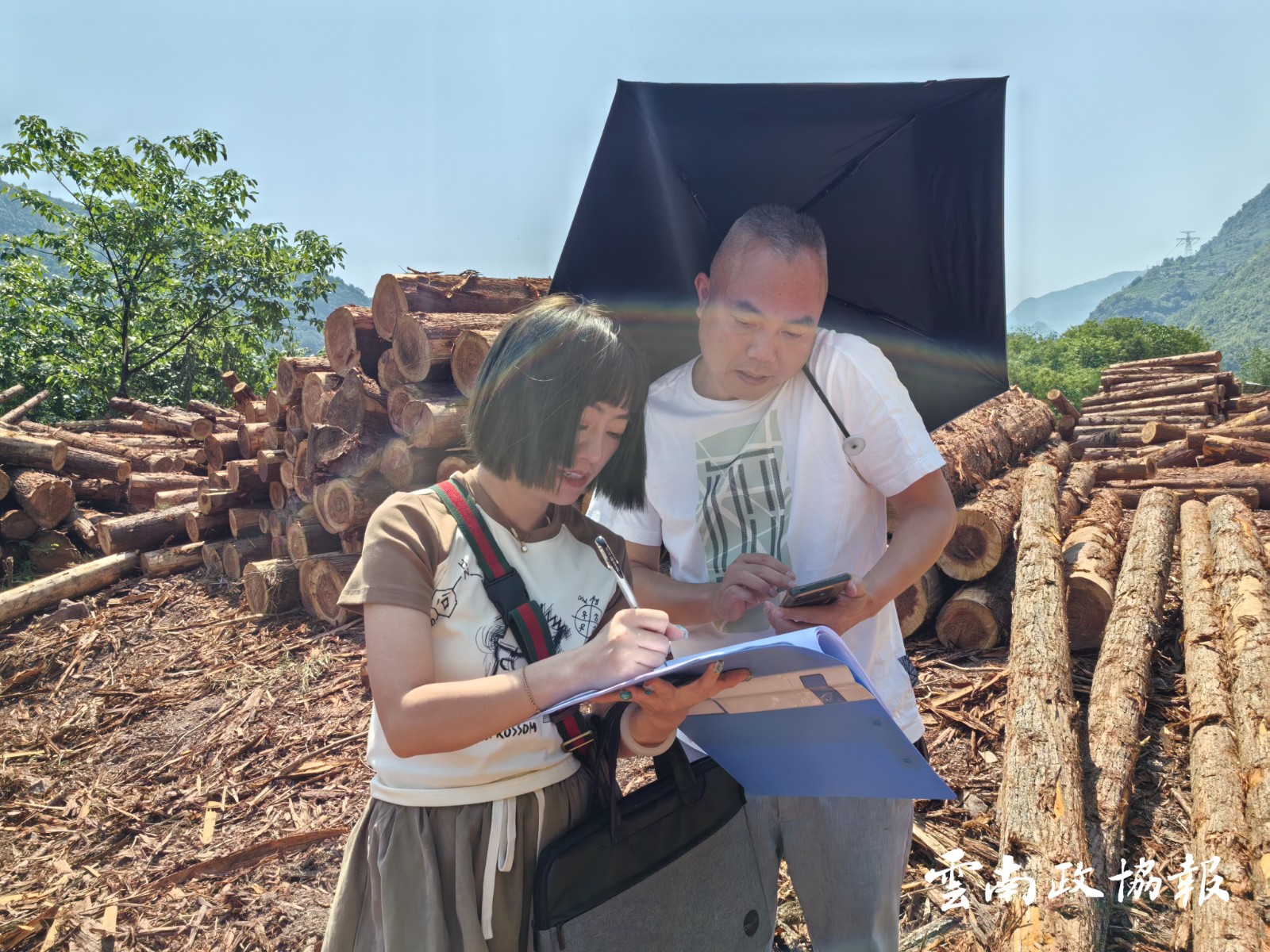 绥江｜县政协提案建议被采纳 筑牢有害植物防控网