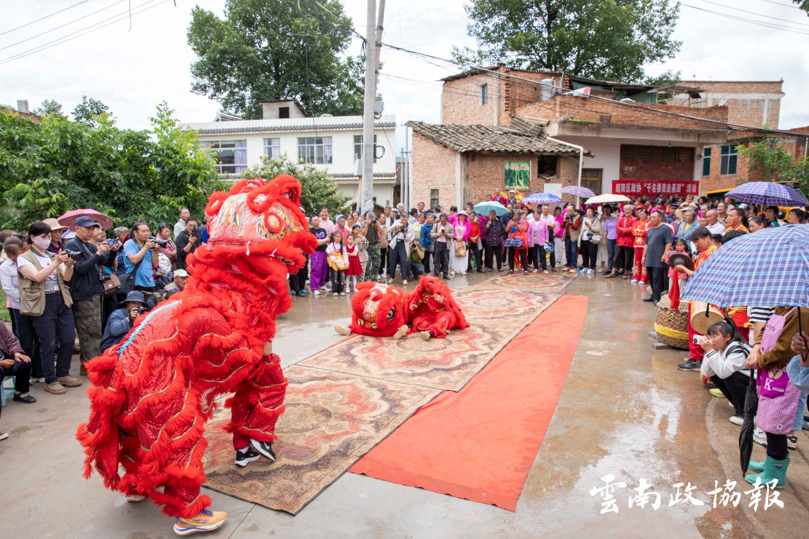 昭阳｜区政协开展“千名委员走基层”活动