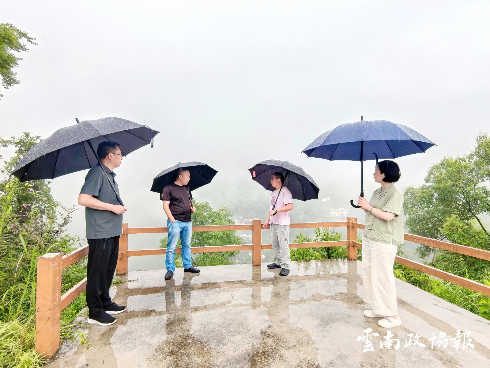 绥江｜县政协开展“千万工程”建设专题调研