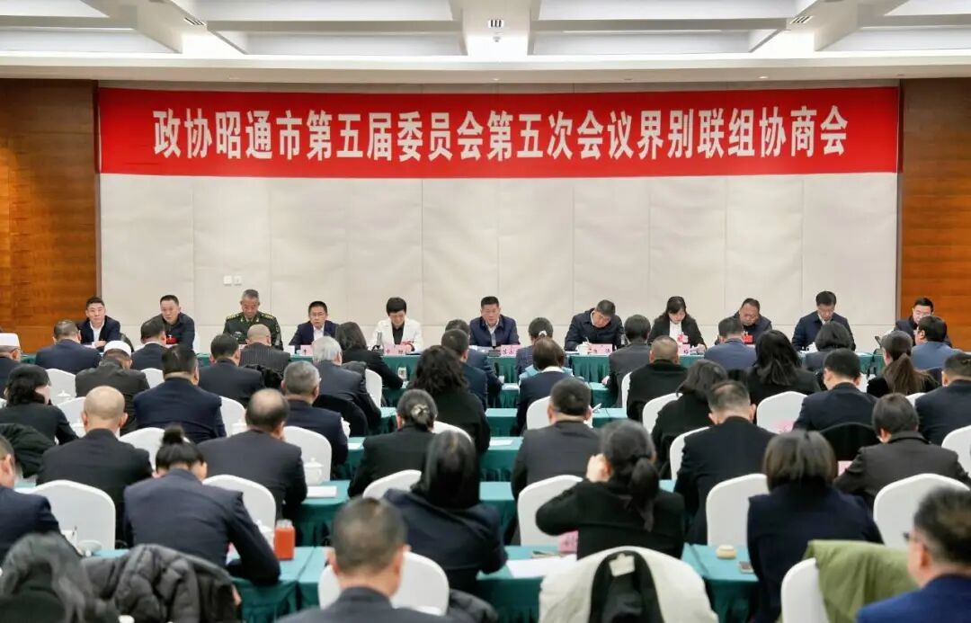 市政协五届五次会议举行界别联组协商会