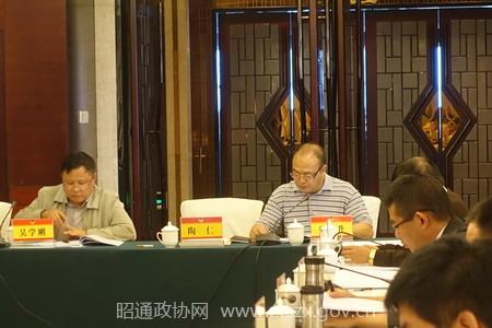 鲁甸县政协副主席、昊龙集团总裁马永升发言.JPG