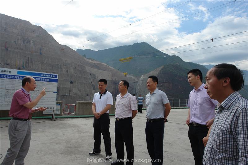 市政协副主席肖本敏一行在白鹤滩电站建设工地听取情况介绍11.jpg