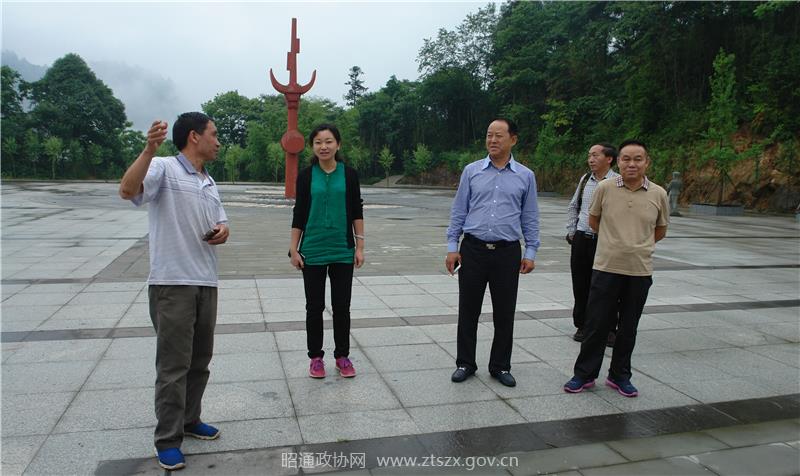 市政协副主席肖本敏一行在绥江县板栗乡罗坪村苗族文化广场调研21.jpg