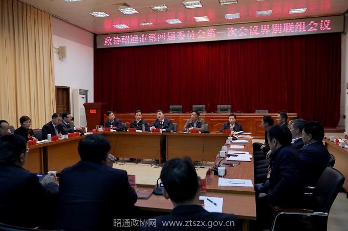 政协界别联组会  记者  张广玉  摄 (41).JPG