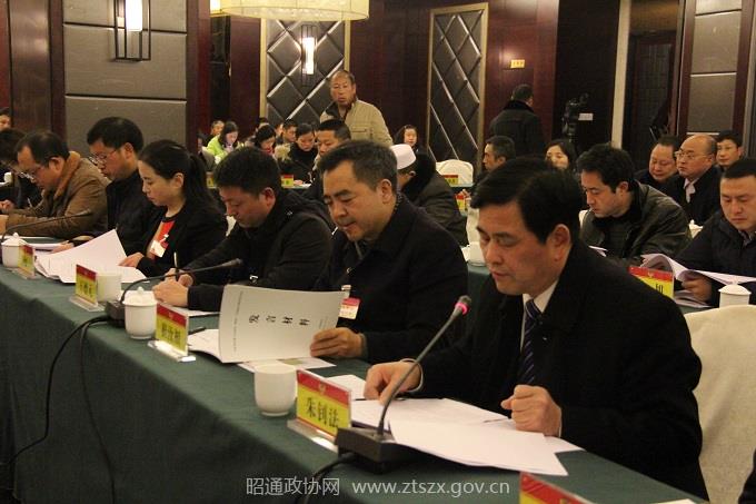 委员在“两院”工作报告协商会上发言。 - 副本.JPG